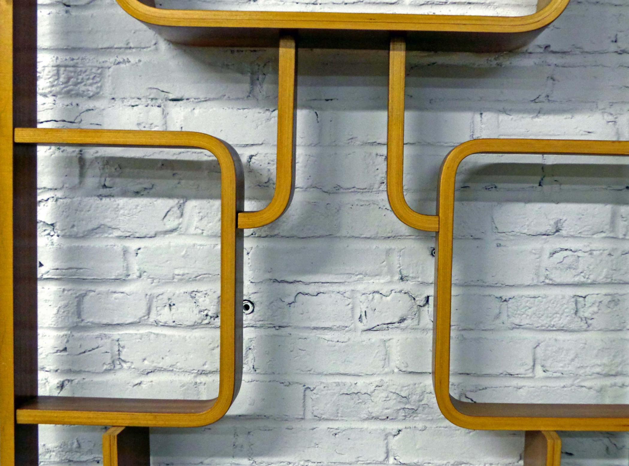 Bentwood Room Divider / Shelving Unit Modernism